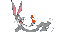 Lapin